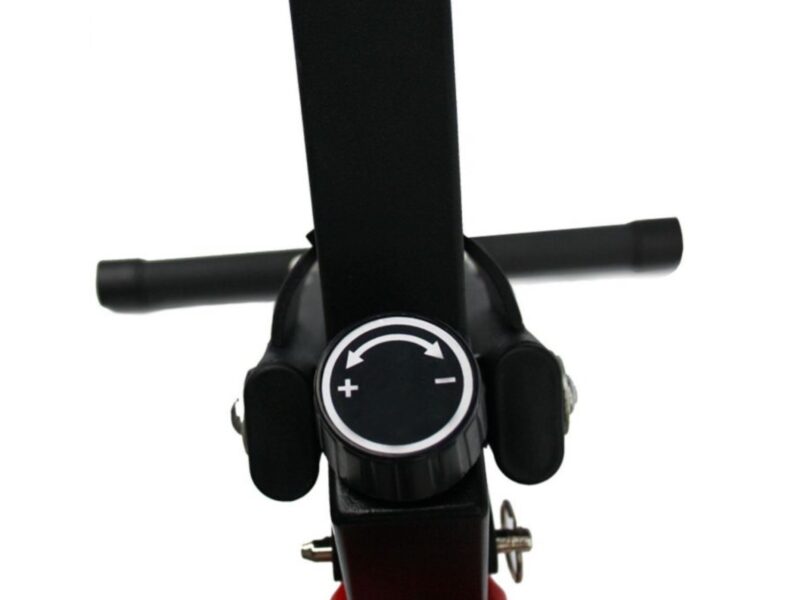 LISA Ergodeskbike 2.0 - Afbeelding 2
